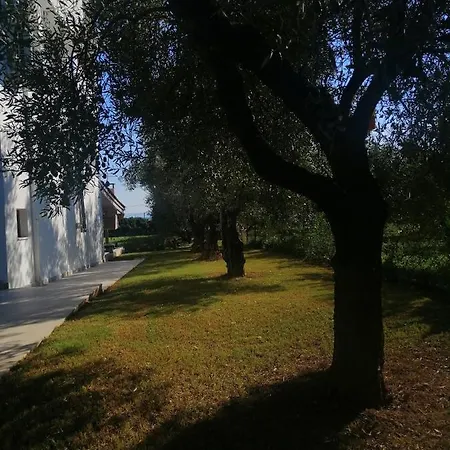 Zennova #61, Boutique In Nikiti (Sithonia)