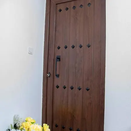 Zennova #61, Boutique In Nikiti (Sithonia)