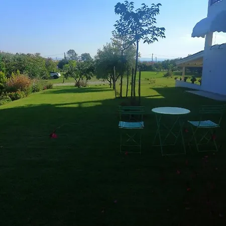 Zennova #61, Boutique In Nikiti (Sithonia)