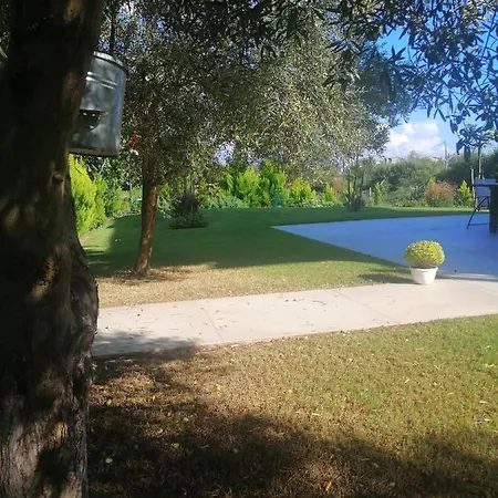 Zennova #61, Boutique In Pansiyon