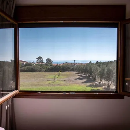 Rum i privatbostad Zennova #61, Boutique In