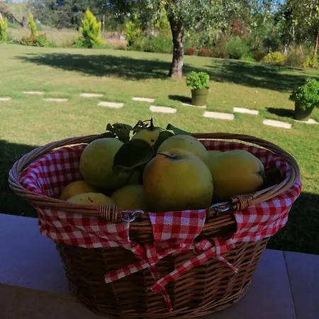 Zennova #61, Boutique In Νικήτη