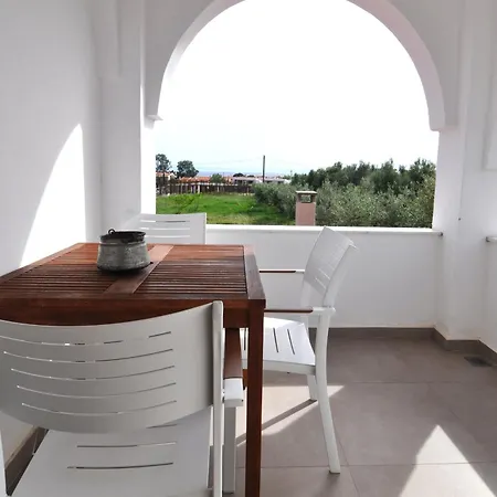 Zennova #61, Boutique In Nikiti (Sithonia)