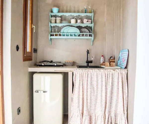 Zennova #61, Boutique In