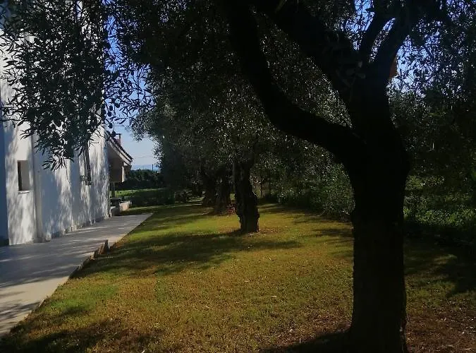 Zennova #61, Boutique In Νικήτη