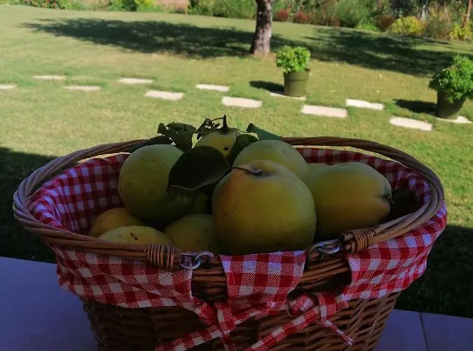 Zennova #61, Boutique In Νικήτη